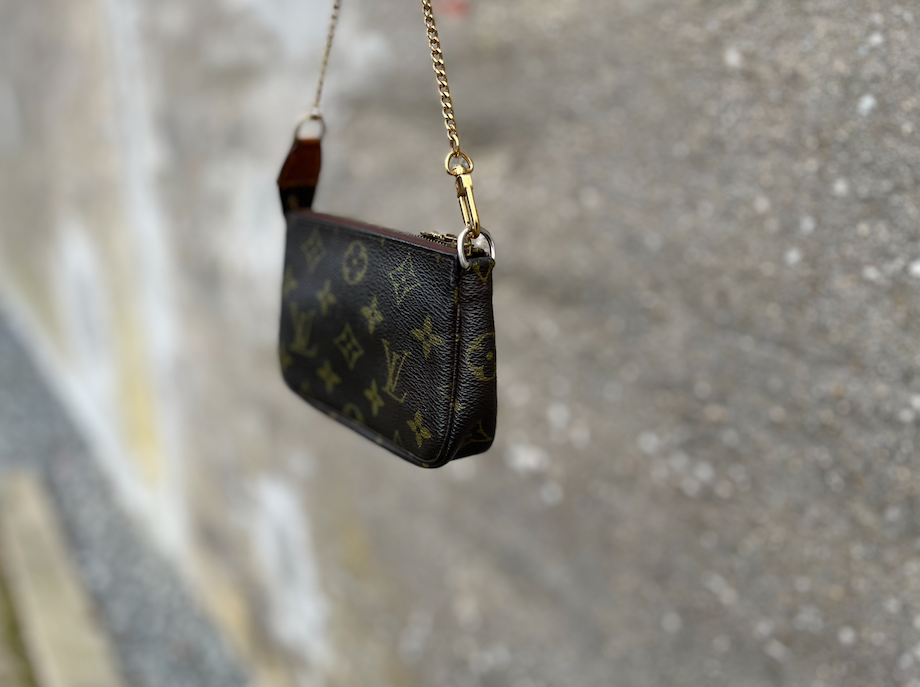 Louis Vuitton Pochette (Small)